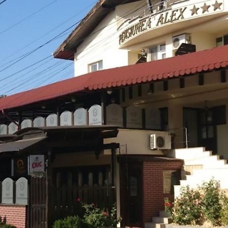 Vila Alex&Razvan Tulcea Exteriör bild